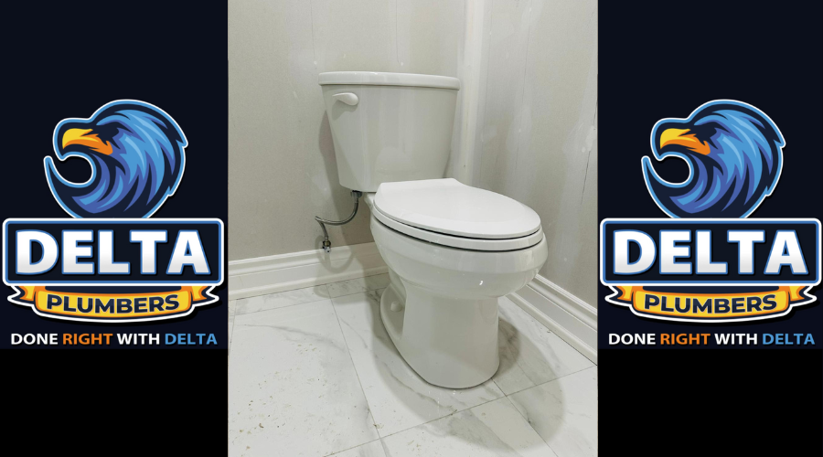 Blocked Toilet - Delta Plumbers