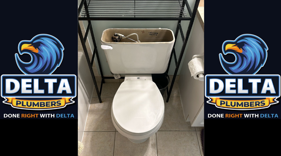 Leaking Toilets and Faucets - Delta Plumbers