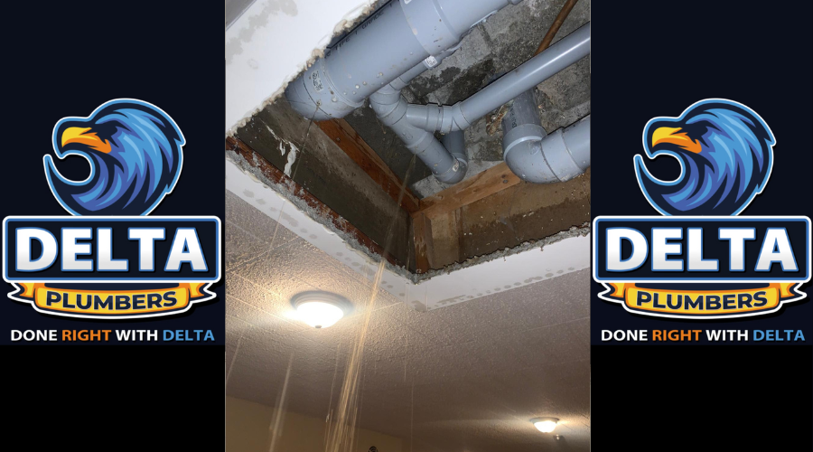Sewer Repair and Replacement - Delta Plumbers
