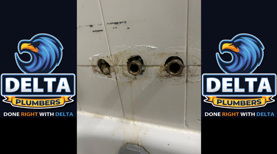 Common Plumbing Problems - Delta Plumbers
