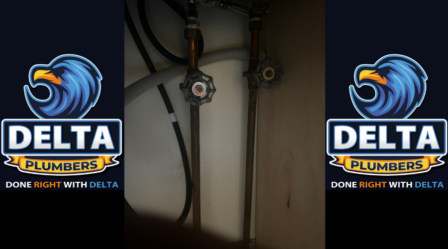 The Health Risks of Ignoring Plumbing Leaks - Delta Plumbers
