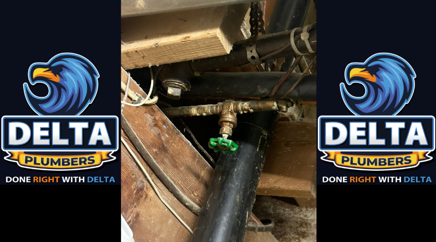 Professional Drain Cleaning: Why It Is Essential
