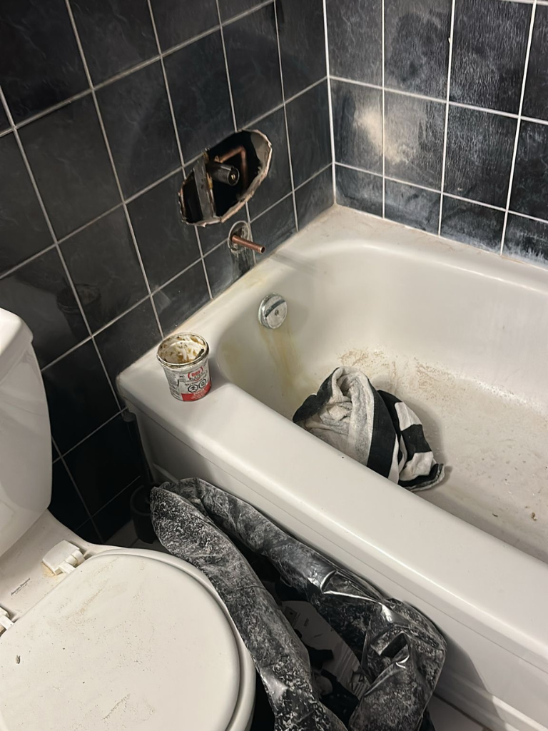 Bathtub Repair Service by Delta Plumbers in Nepean