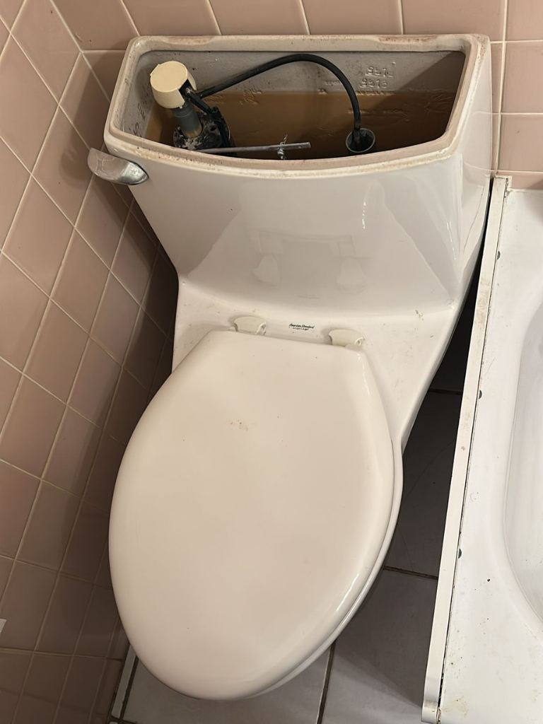 Emergency Toilet Flush Repair Service in Buckingham by Delta Plumbers