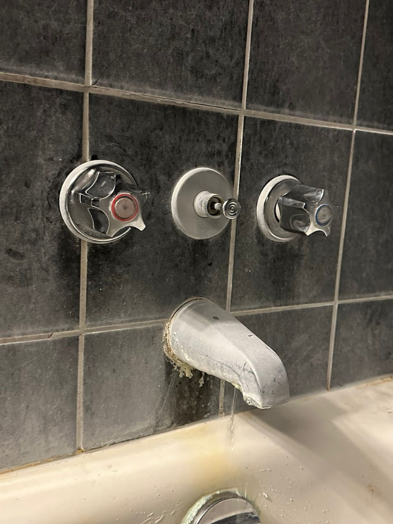 Shower Faucet Replacement Service in Orleans - Delta Plumbers