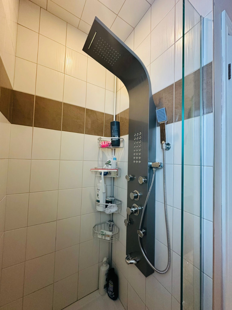 Shower Installation Plumbers in Kemptville - Delta Plumbers