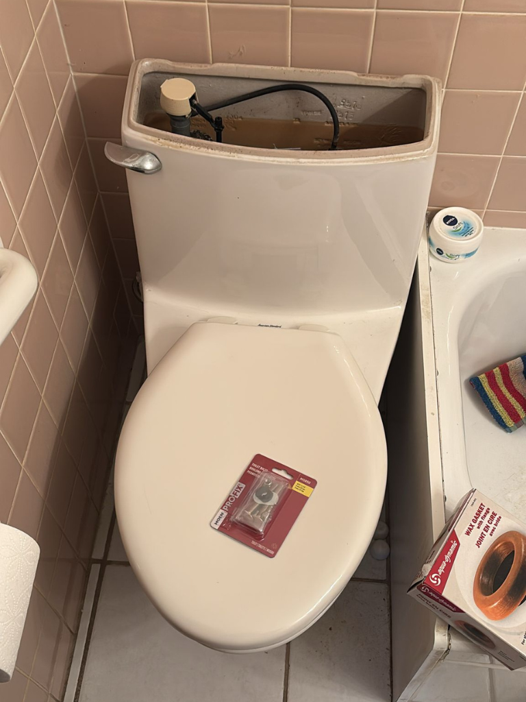 Toilet Repair Service in Smiths Falls by Delta Plumbers