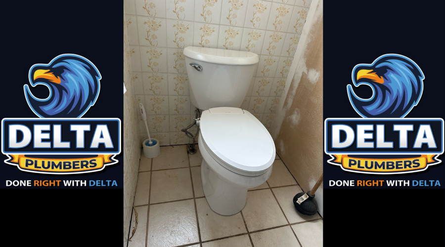Toilet Replacement Plumbing Service: Everything You Need to Know