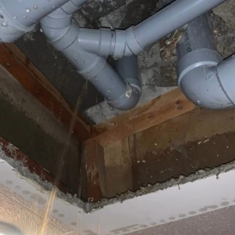 Leak Detection Service in Almonte By Delta Plumbers.