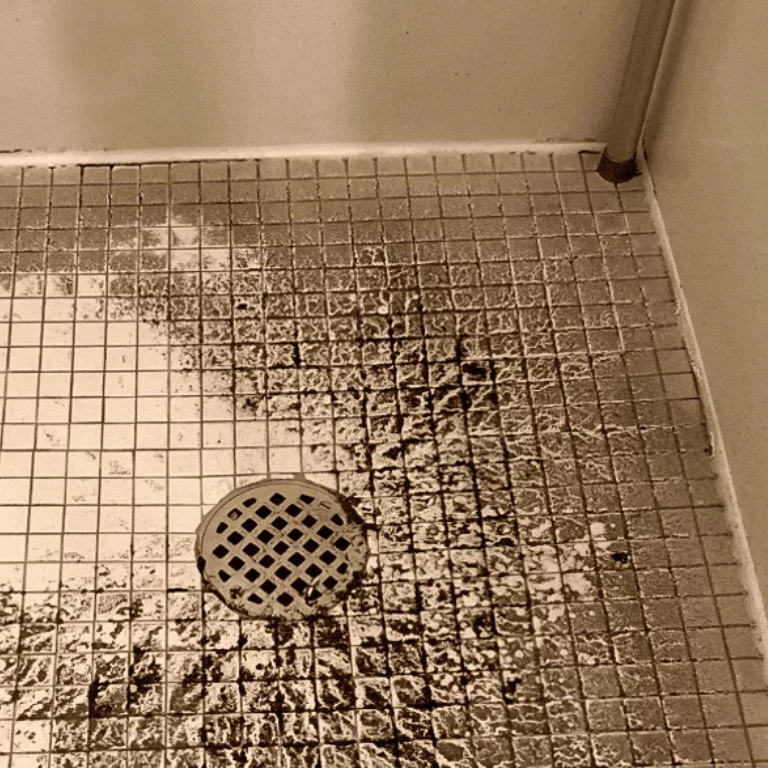 Sewer Backup In shower Service -Carleton Place- Delta Plumbers.